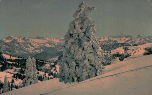 Rigi, Blick gegen die Glarneralpen Vorderseite