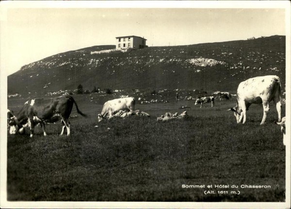 Chasseron Vorderseite