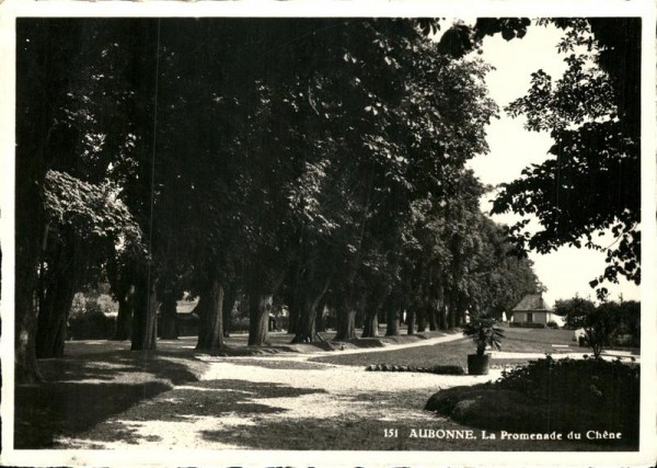 Aubonne, La Promenade du Chène Vorderseite