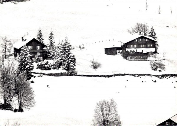 Ferienhaus Heuerberg, Braunwald, Flugaufnahme Vorderseite