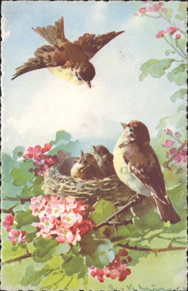 Vogelfamilie