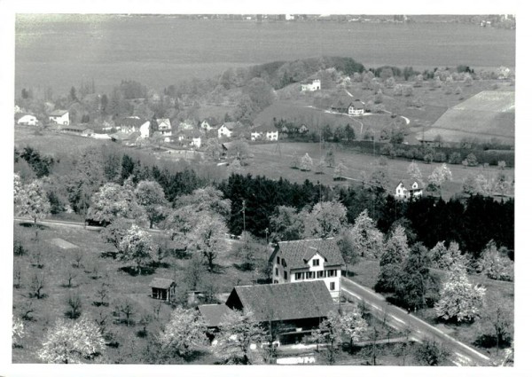 Horgen-Flugaufnahme Vorderseite