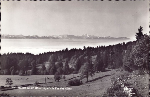 Mussif du Mt. Blanc depuis la Vue des Alpes