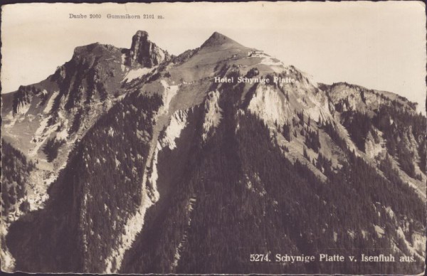 Schynige Platte