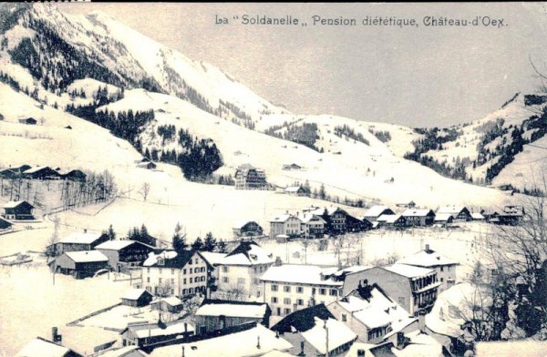 La "Soldanelle" Pension diététique, Chateau-d'Oex Vorderseite