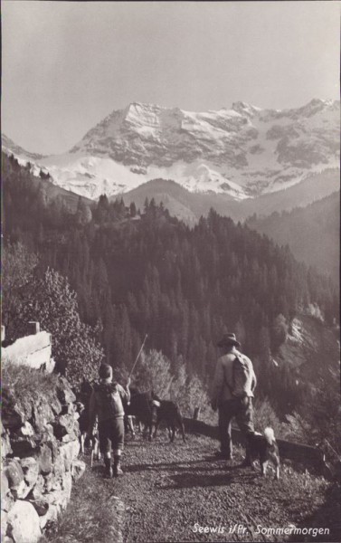 Seewis in Prättigau, Sommermorgen