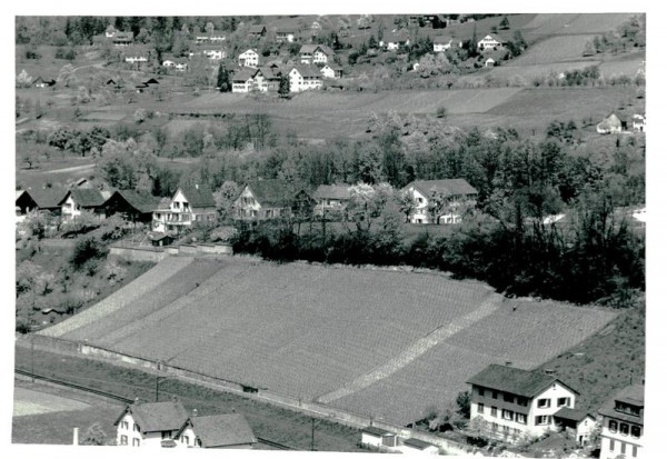 Männedorf-Flugaufnahme Vorderseite