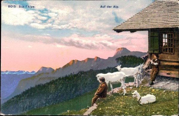 Auf der Alp Vorderseite