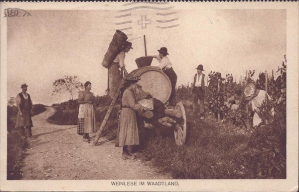 Weinlese im Waadtland Vorderseite