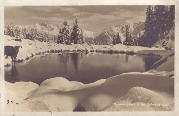 Sommerschnee in den Schweizeralpen