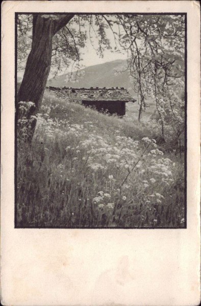 Haus mit Baum - Heimatbilder