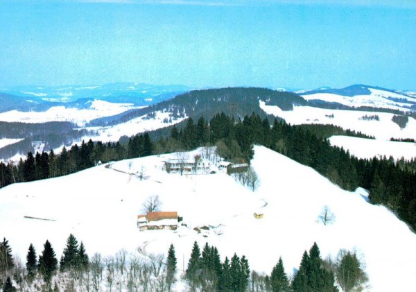 Bachtel - Kulm   -   Flugaufnahmen Vorderseite