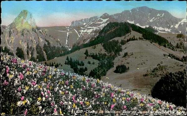 Rochers de Naye (2042 m) Vorderseite