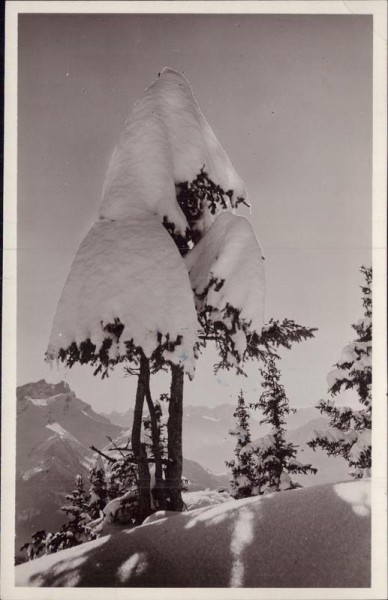 Villars, Beauté d'hiver Vorderseite