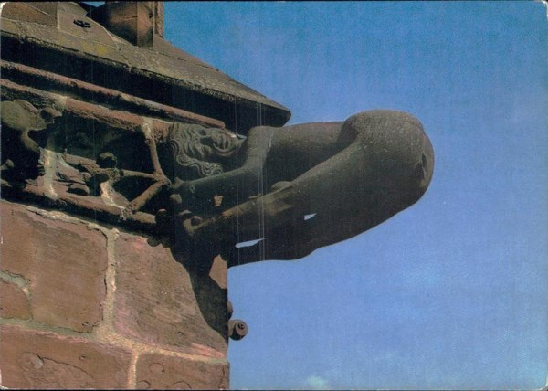 Freiburg im Breisgau, Wasserspeier am Münster Vorderseite