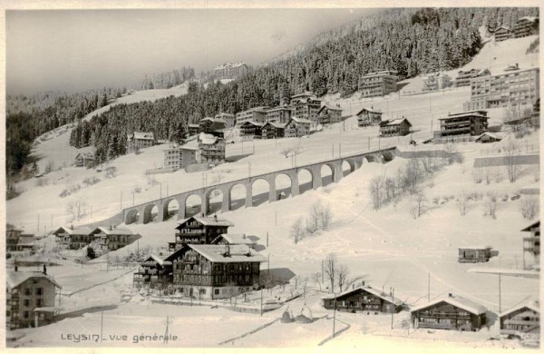 Leysin, vue générale Vorderseite