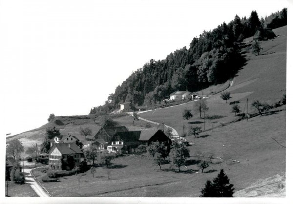 Wald ZH, Flugaufnahme Vorderseite