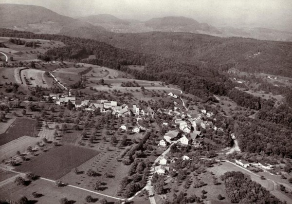 Wittinsburg BL - Flugaufnahmen Vorderseite