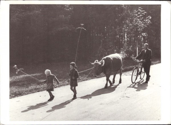 Im Thurtal, Hans Baumgartner, 1944