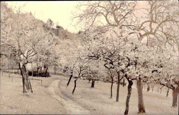 Malerische Appenzeller Bilder Vorderseite