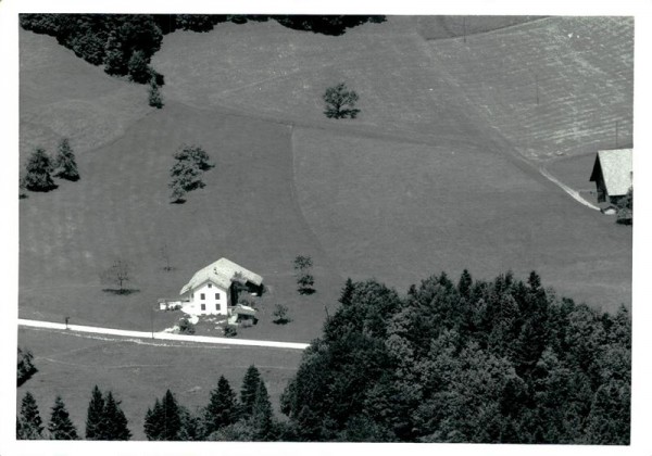 Wald Zh-Flugaufnahme Vorderseite