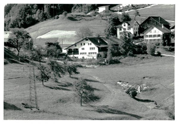 Wald ZH, Flugaufnahme Vorderseite