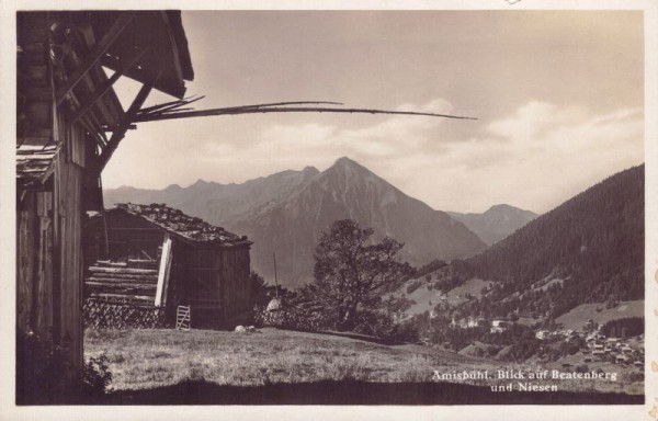 Amisbühl. Blick auf Beatenberg und Niesen