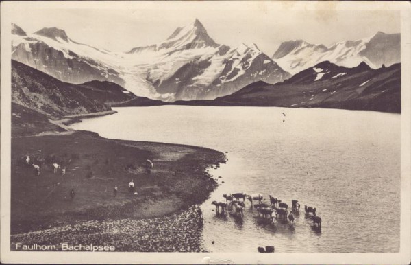 Faulhorn, Bachalpsee