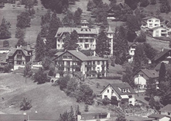 Hotel Alpenblick, Weggis  -  Flugaufnahmen$ Vorderseite