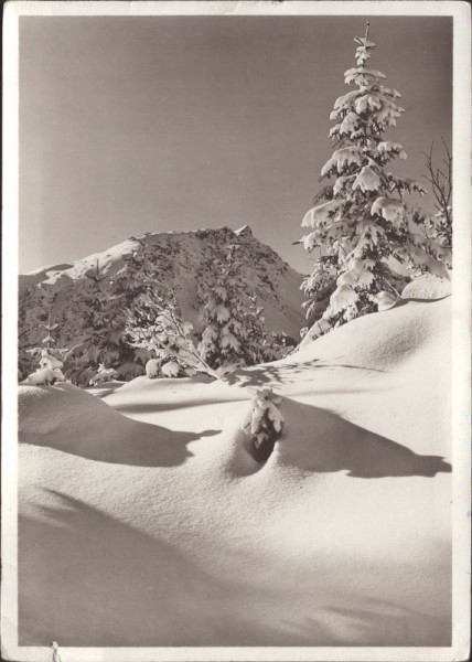 Arosa, Neuschneemorgen