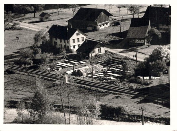 8494 Bauma, Unterdorfstrasse 54, 56 -neu 1996 / Bliggenswilerstrasse -Neuüberbauung 1990  Vorderseite