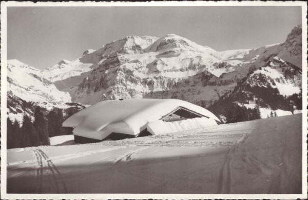 Lenk, i. S. Gysenboden, Wildstrubel