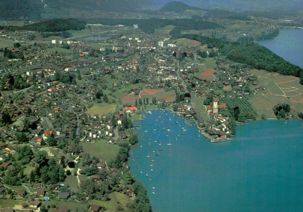 Spiez mit Spiezerbucht Vorderseite