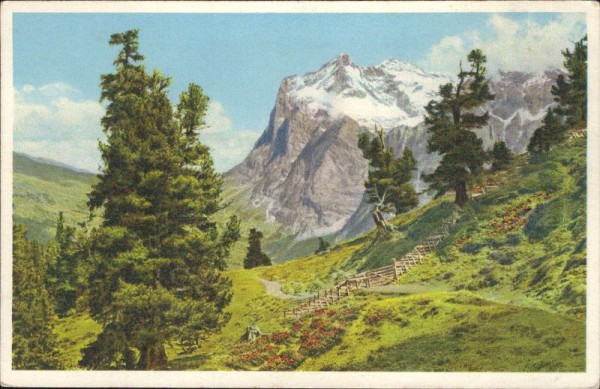 Wetterhorn