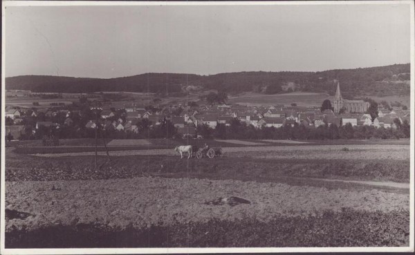 Ochsengespann vor unbekannter Ortschaft Vorderseite