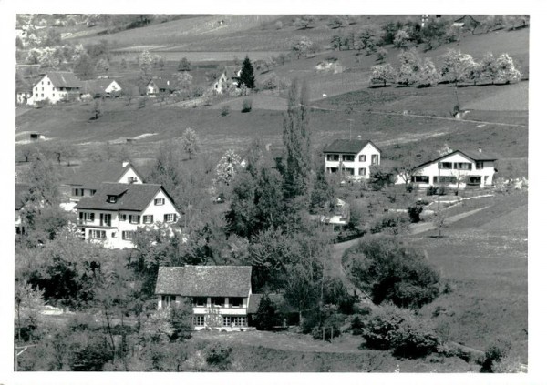 Männedorf-Flugaufnahme Vorderseite