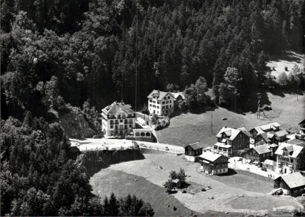 Seelisberg, Hotel Löwen, Flugaufnahme Vorderseite