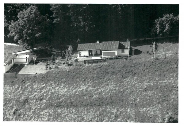 Wald ZH, Flugaufnahme Vorderseite