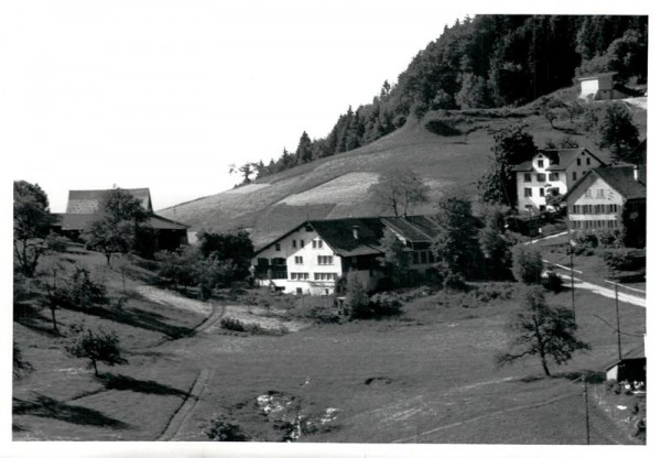 Wald ZH, Flugaufnahme Vorderseite