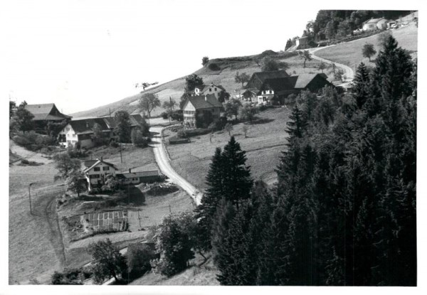 Wald ZH, Flugaufnahme Vorderseite