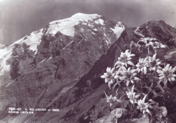 König Ortler (3905m)