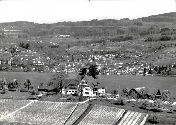 Halbinsel au, Landgasthof am Zürichsee, Flugaufnahme Vorderseite