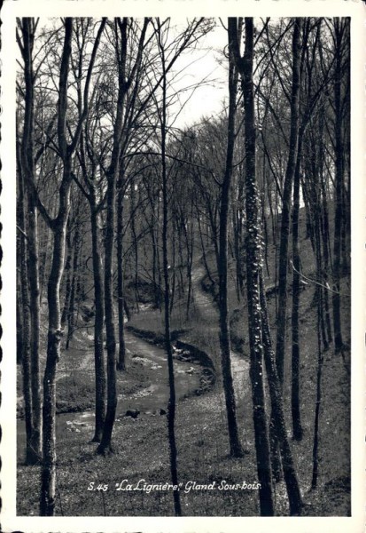 "La Lignière", Gland Sous-bois Vorderseite