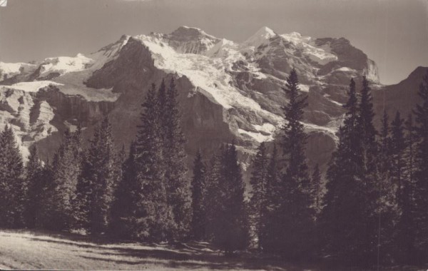 Wengen, Mettlenalp mit Jungfrau