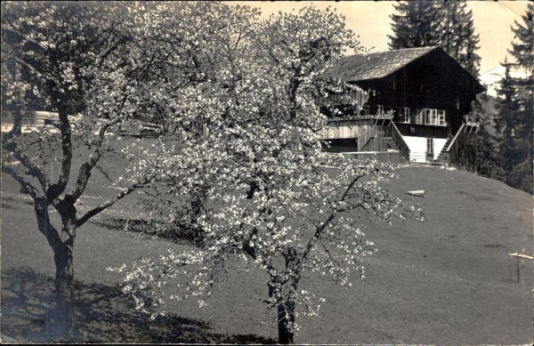 unbekanntes Haus Vorderseite