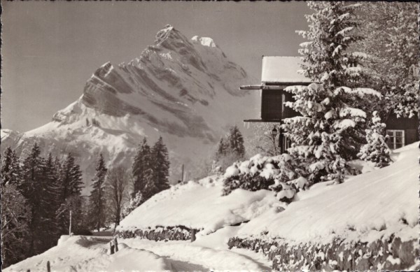 Braunwald, Blick auf den Ortstock