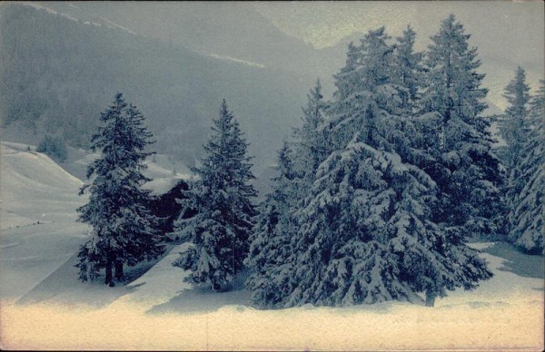 unbekannte Landschaft Vorderseite