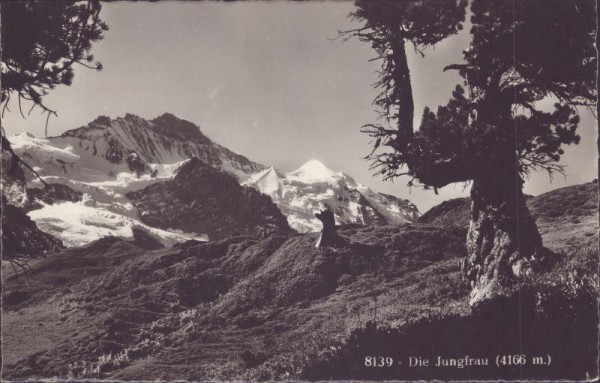 Die Jungfrau