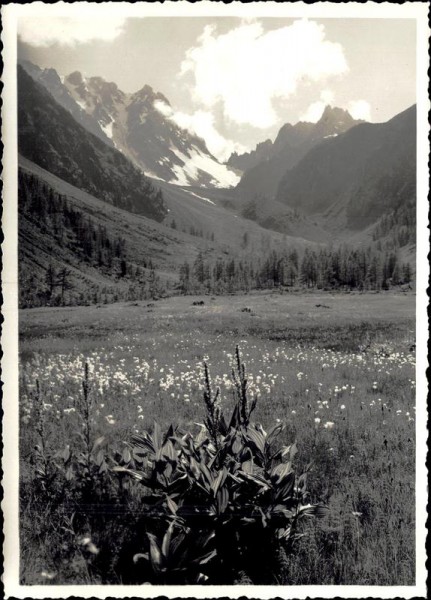 unbekannte Landschaft Vorderseite