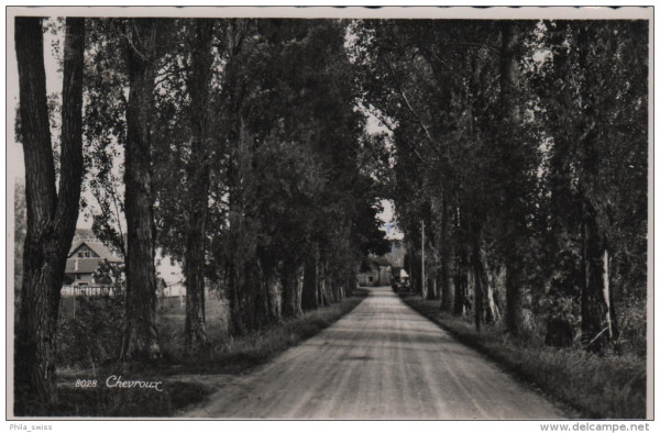 Chevroux - Allee